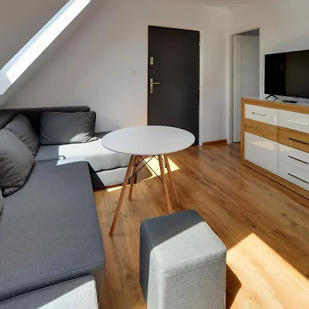 Mega Widok Apartment *