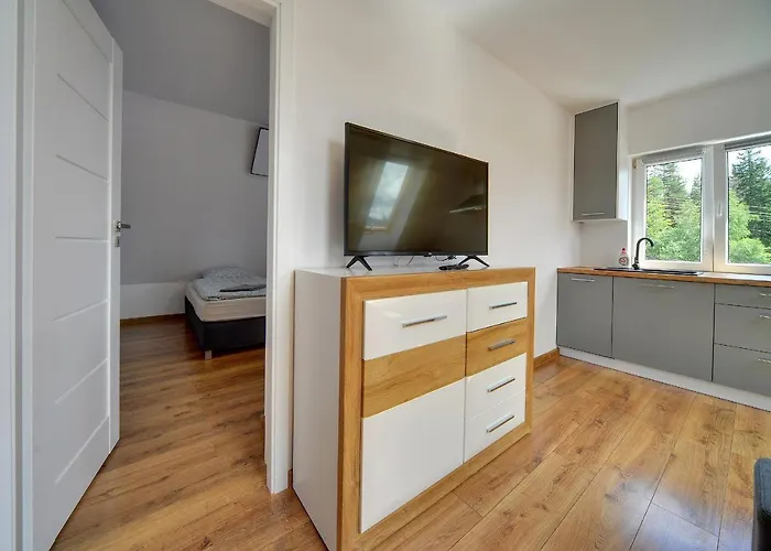 Appartamento Mega Widok