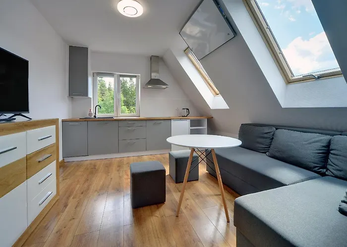 Apartment Mega Widok